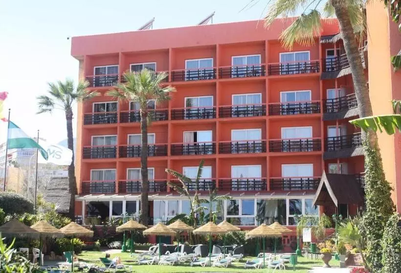 Fotos del hotel Ms Tropicana:  2