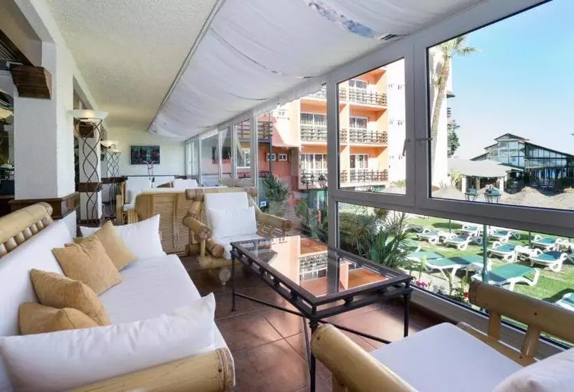 Fotos del hotel Ms Tropicana:  7