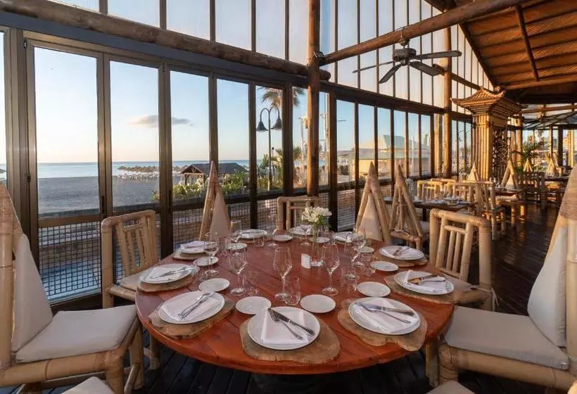 Fotos del hotel Ms Tropicana:  19