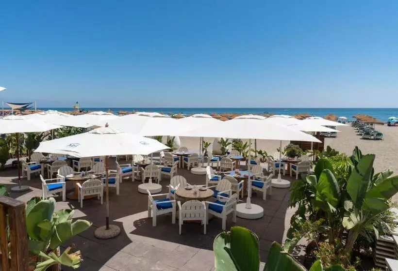 Fotos del hotel Ms Tropicana:  14