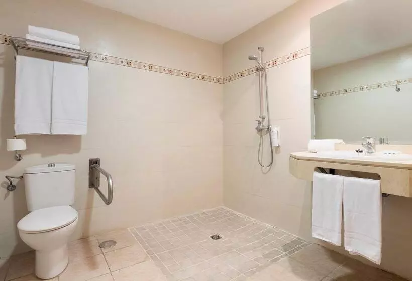 Fotos del hotel Palia La Roca:  12