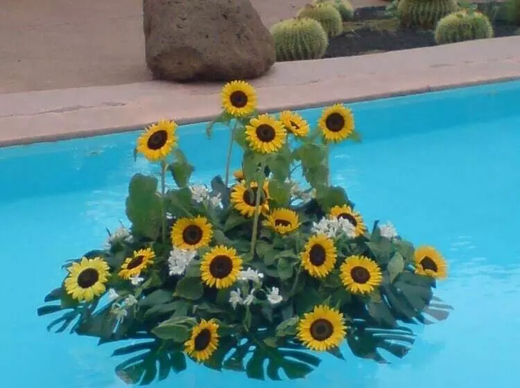 Fotos del hotel La Hacienda De Anzo:  12