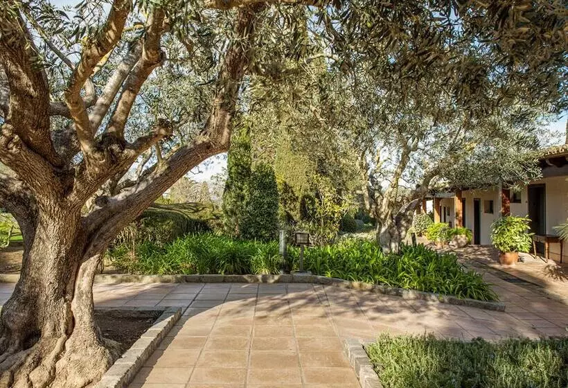 Fotos del hotel Mas De Torrent  & Spa, Relais & Châteaux:  12