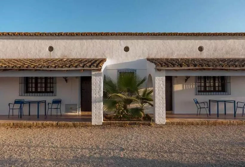 Fotos del hotel Mesón De La Molinera:  12