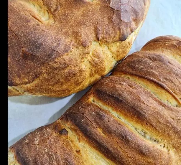 Fotos del hotel & Spa Entre Pinos:  7