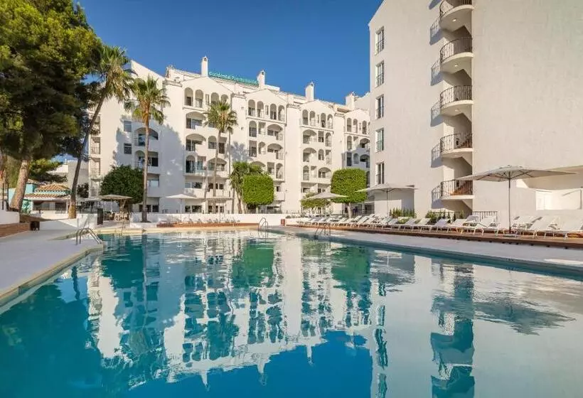 Fotos del hotel Occidental Puerto Banús:  23