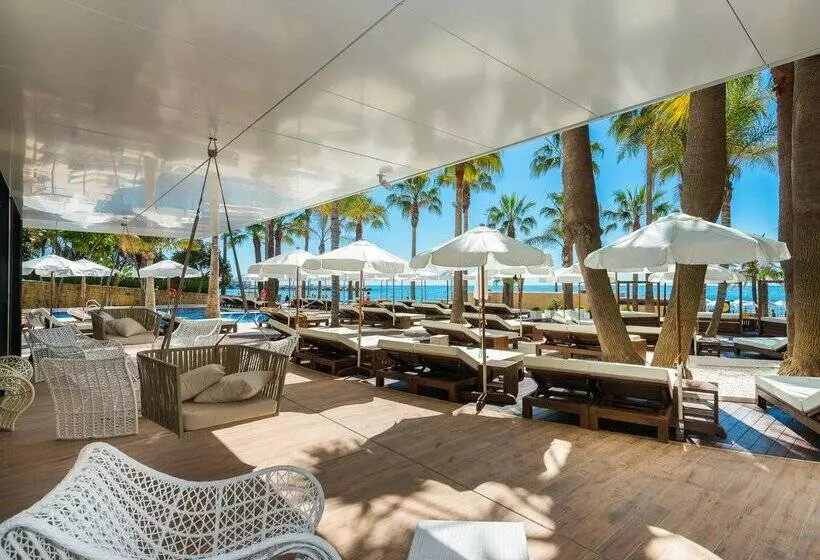 Fotos del hotel Amàre Beach Hotel Marbella - Adults Only:  56