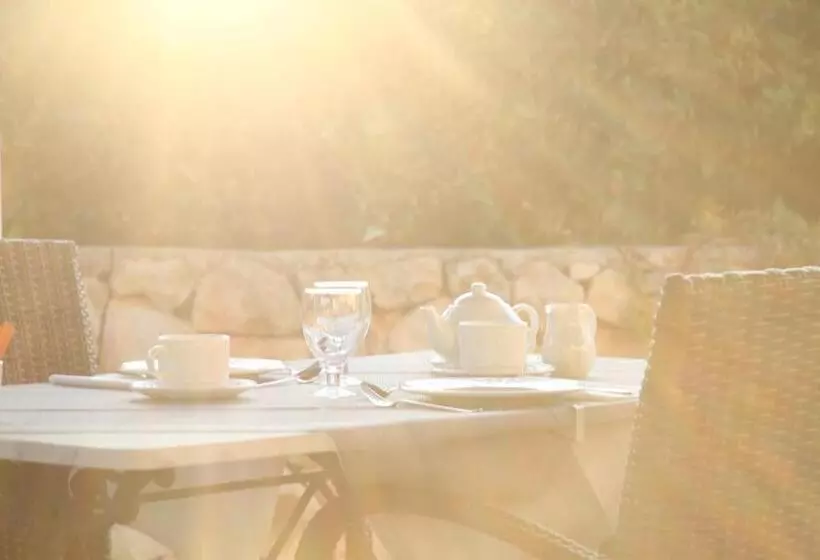 Fotos del hotel Rural Son Tretze - Adults Only:  21