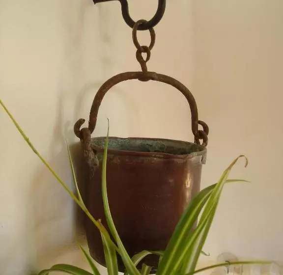 Fotos del hotel Rural Son Tretze - Adults Only:  5