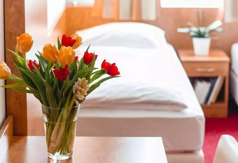 Fotos del hotel Allegro Wien:  15