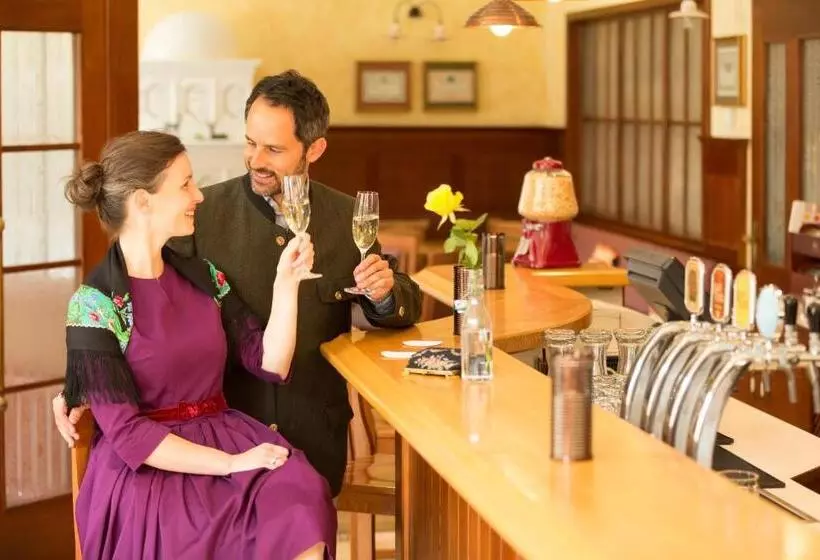 Fotos del hotel Erzherzog Rainer:  3