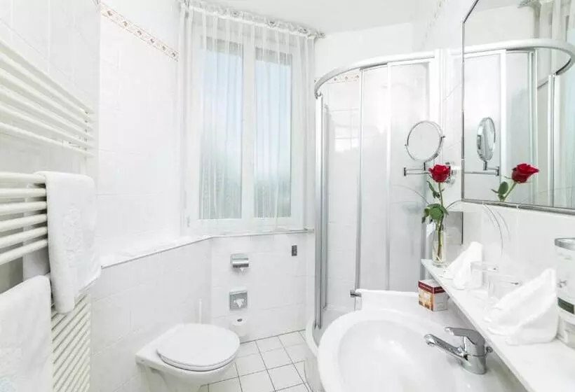 Fotos del hotel Erzherzog Rainer:  10