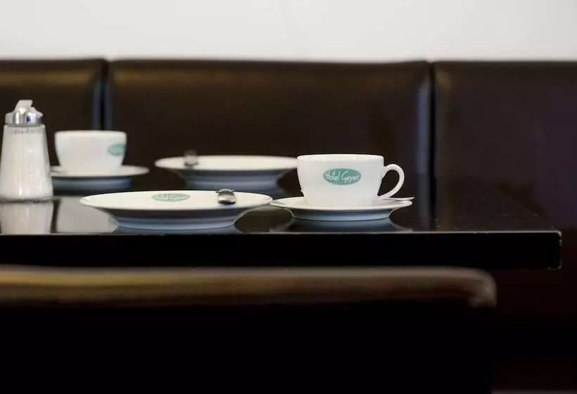 Fotos del hotel Geyer:  9