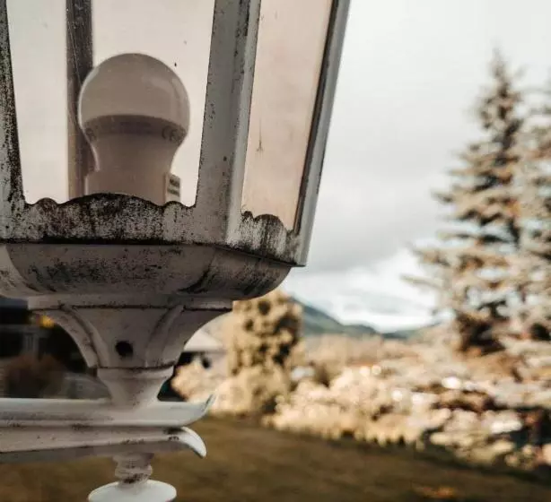 Fotos del hotel Waldhotel Contactless:  21