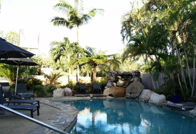 Fotos del hotel Lazy Lizard Motor Inn:  8