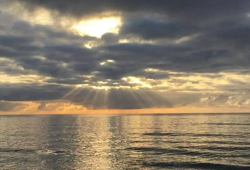 Fotos del hotel Lazy Lizard Motor Inn:  15