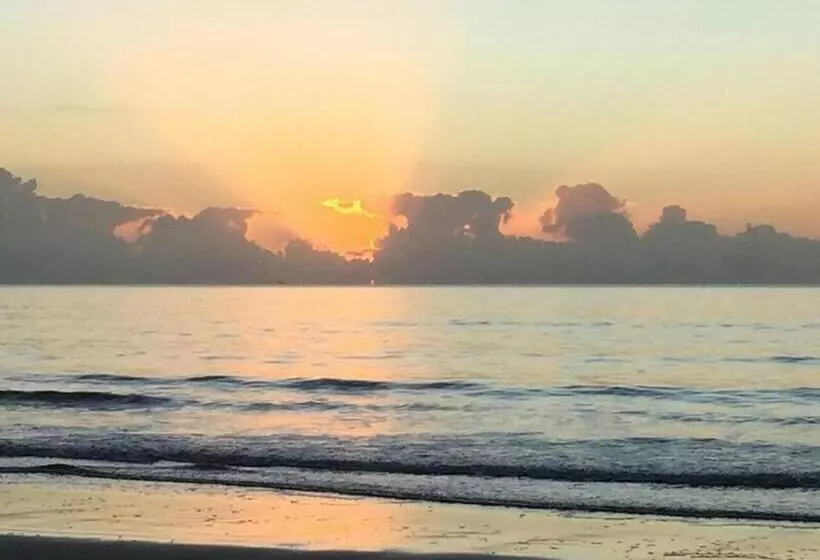 Fotos del hotel Lazy Lizard Motor Inn:  6