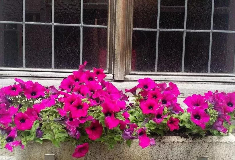 Fotos del hotel Cour St Georges:  5