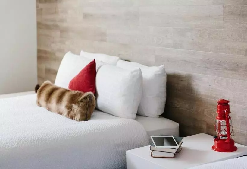 Fotos del hotel Elk + Avenue:  15