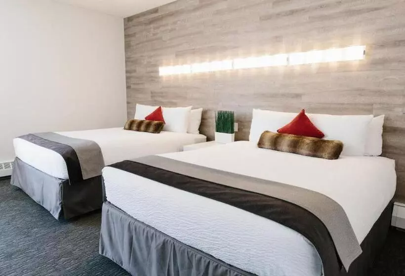 Fotos del hotel Elk + Avenue:  17