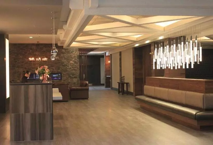 Fotos del hotel Elk + Avenue:  4