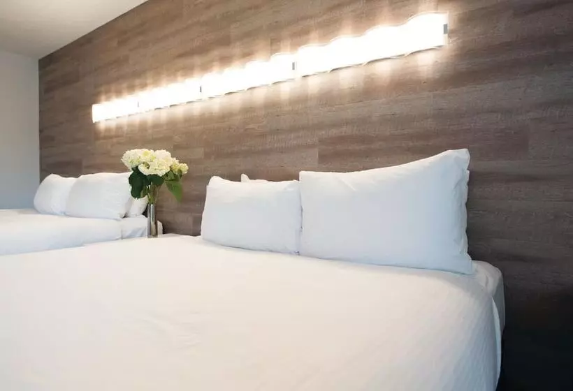 Fotos del hotel Elk + Avenue:  18