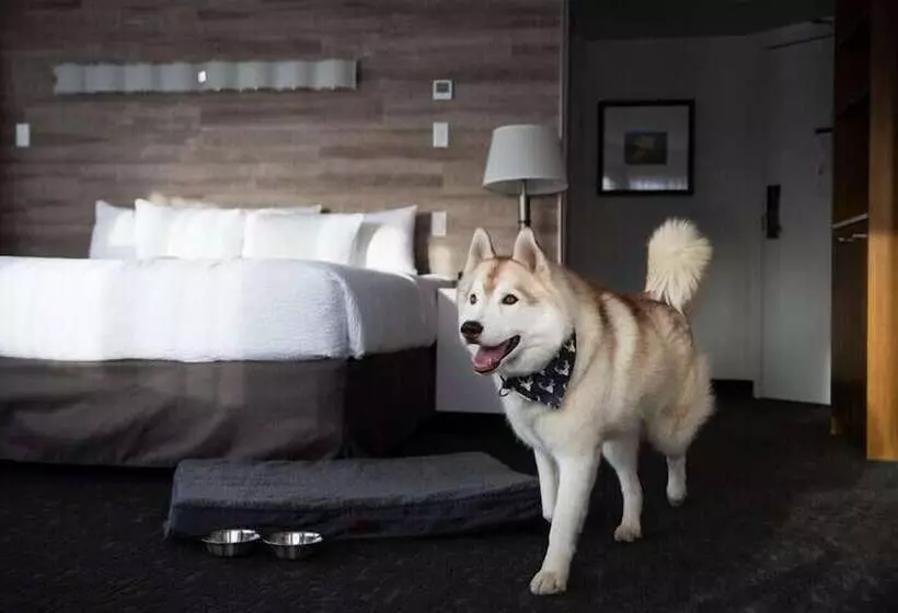 Fotos del hotel Elk + Avenue:  20