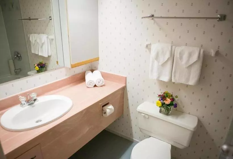 Fotos del hotel Cartier Place Suite:  9