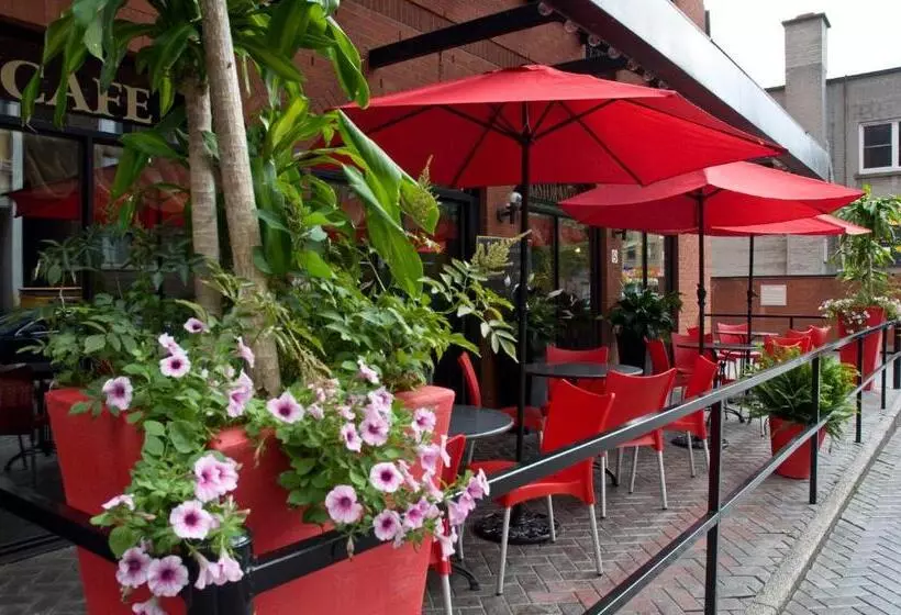 Fotos del hotel Cartier Place Suite:  7