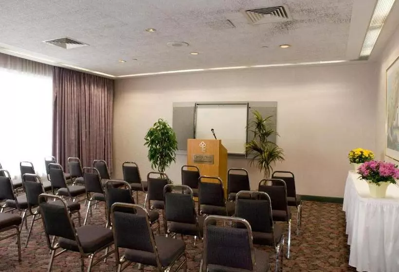 Fotos del hotel Cartier Place Suite:  6