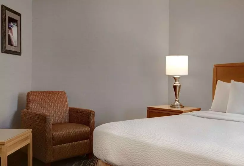 Fotos del hotel Days Inn By Wyndham Niagara Falls Near The Falls:  24