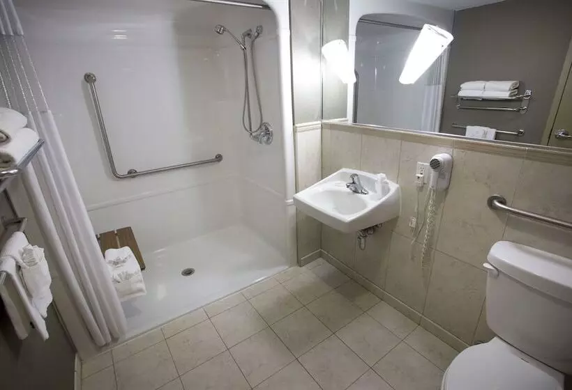 Fotos del hotel The Falls Hotel & Inn:  19