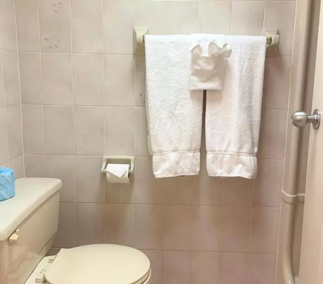 Fotos del hotel Travelodge By Wyndham Niagara Falls Bonaventure:  13