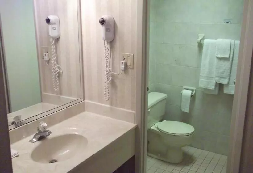 Fotos del hotel Travelodge By Wyndham Niagara Falls Bonaventure:  9