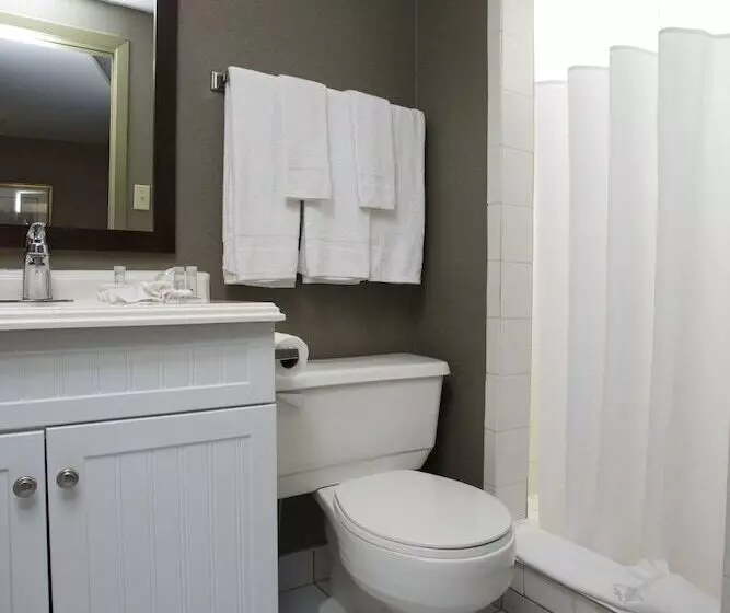 Fotos del hotel The Falls Hotel & Inn:  12