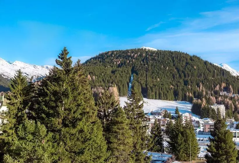 Fotos del hotel Precise Tale Seehof Davos:  28