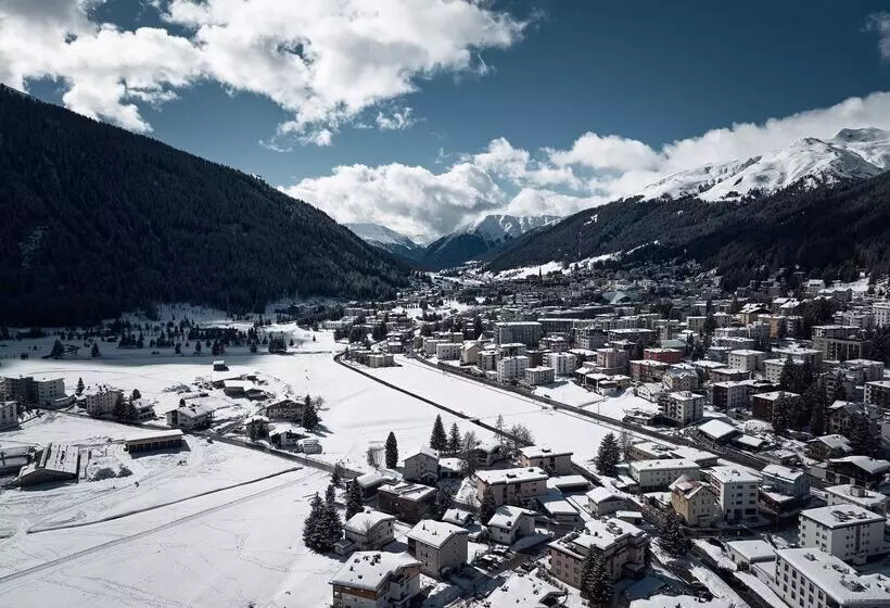 Fotos del hotel Precise Tale Seehof Davos:  32