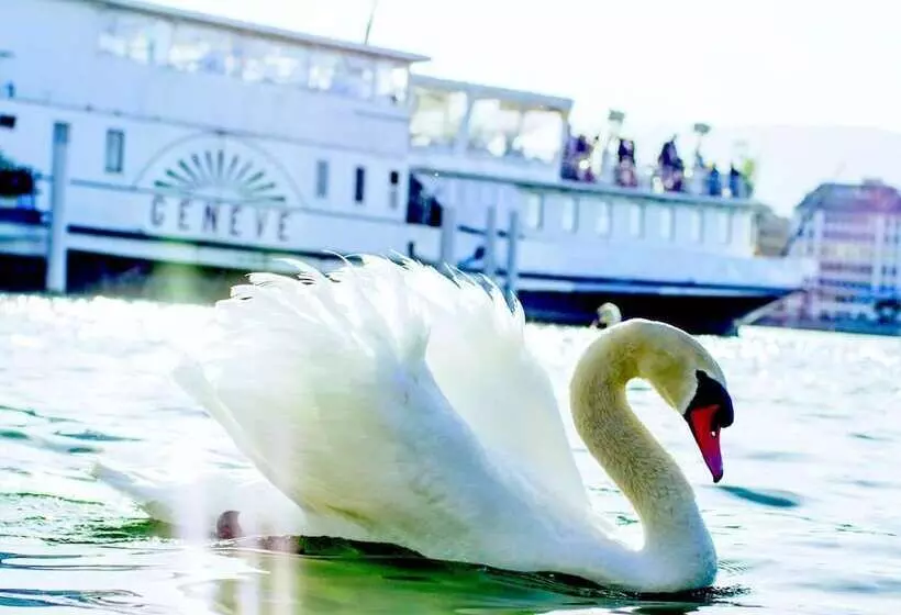 Fotos del hotel Strasbourg:  20