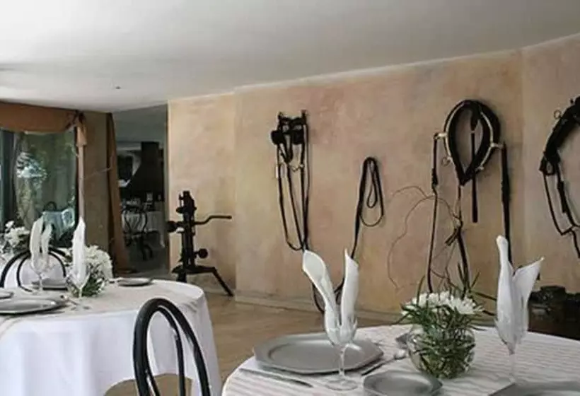 Fotos del hotel Acacias De Vitacura:  13