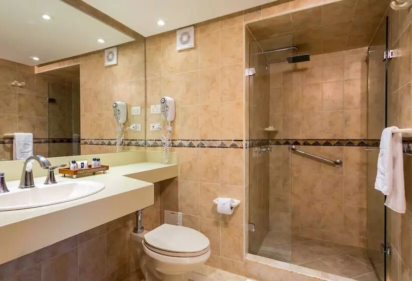 Fotos del hotel Dann Cartagena:  11