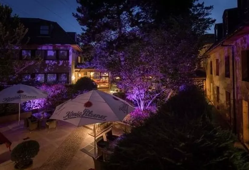 Fotos del hotel Engel:  23