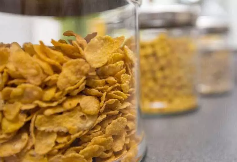 Fotos del hotel Hansa:  13