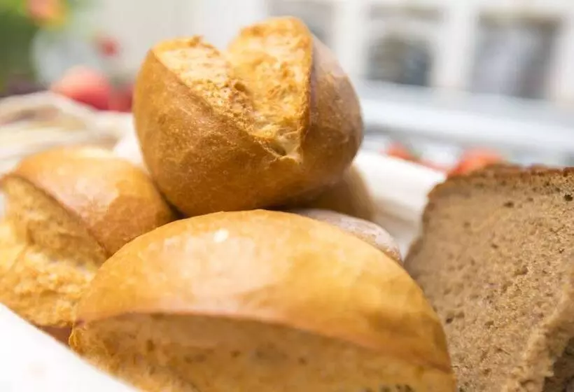 Fotos del hotel Hansa:  9