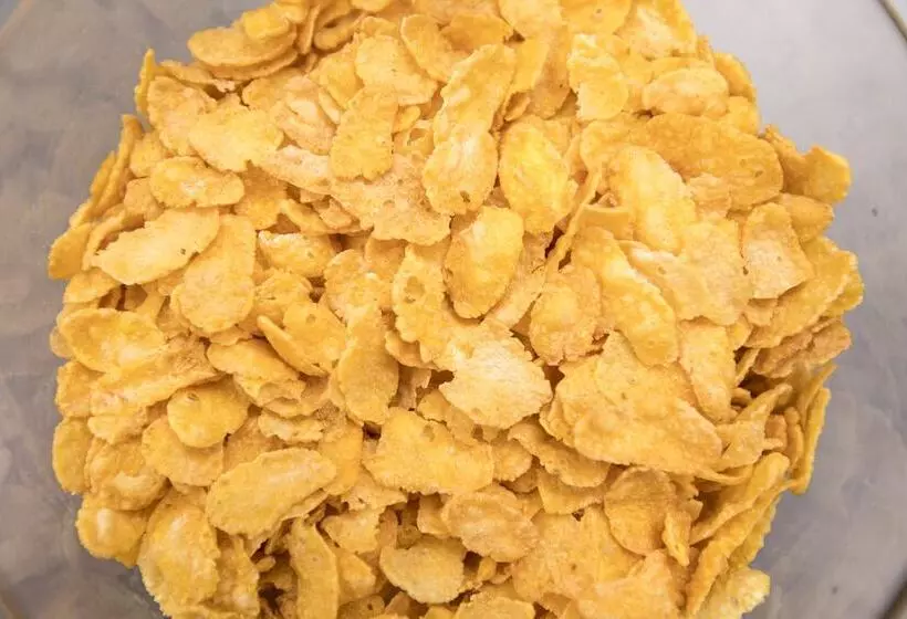 Fotos del hotel Hansa:  11