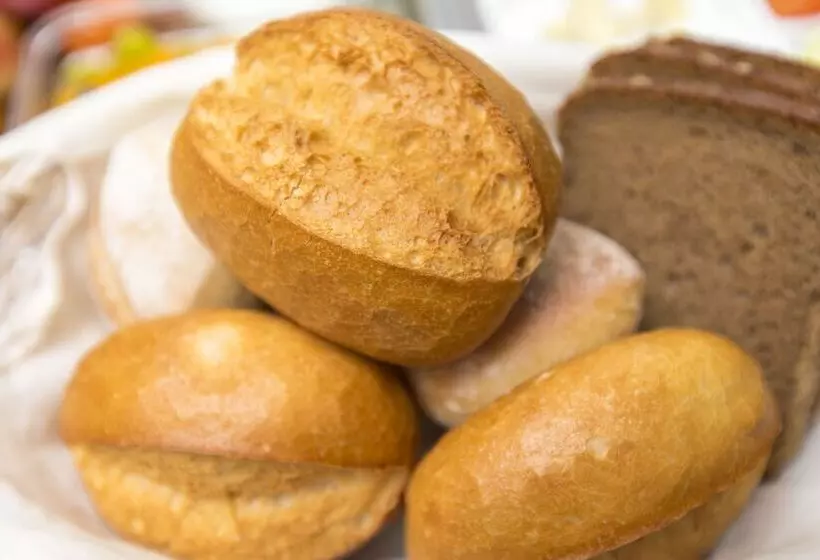 Fotos del hotel Hansa:  12