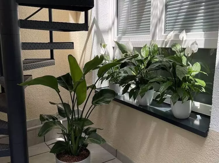 Fotos del hotel Novum  Plaza Düsseldorf Zentrum:  12