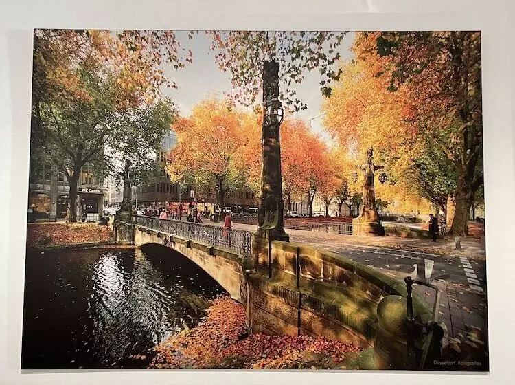 Fotos del hotel Novum  Plaza Düsseldorf Zentrum:  4