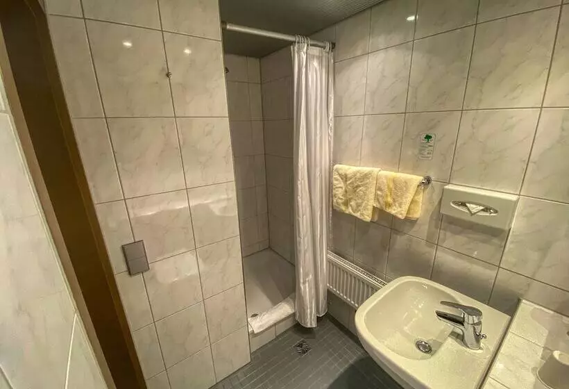 Fotos del hotel City Partner Hotel Berliner Hof:  6