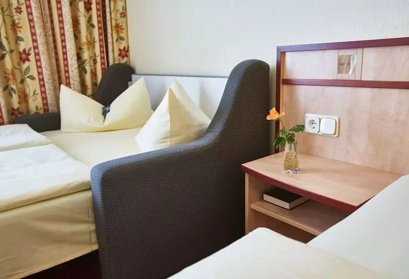 Fotos del hotel Alfa Zentrum:  15