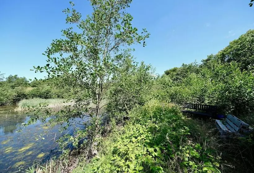 Fotos del hotel Aarslev Kro:  9